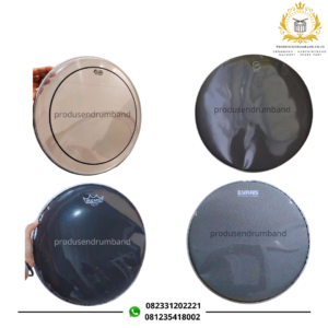 Head Membran Snare Import