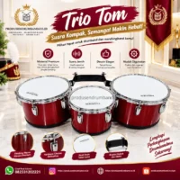 Trio Tom Harrier Putih