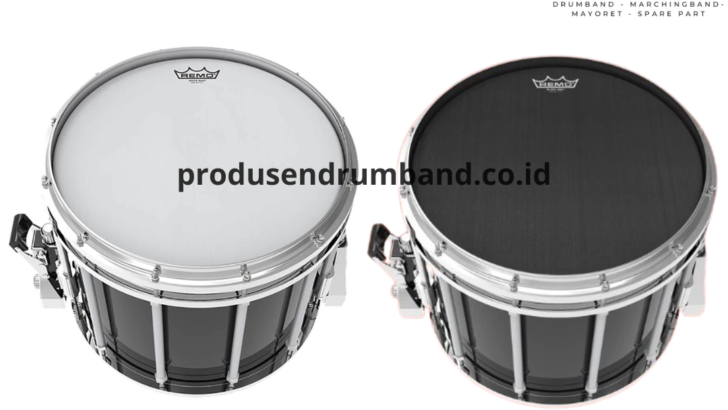 Drum Head Remo