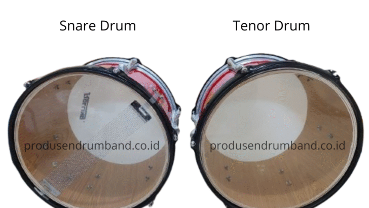 Apa Itu Tenor Drum?