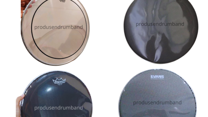 Head Membran Snare Import