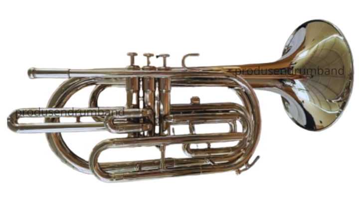 Harga Trombone di Tahun 2026