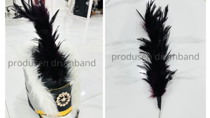 Jual Bulu Topi Drumband